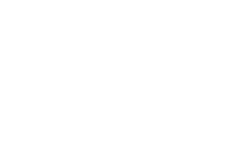 Naijaspora Media logo